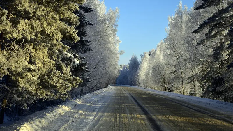 Route bordée d'arbres givrés en hiver